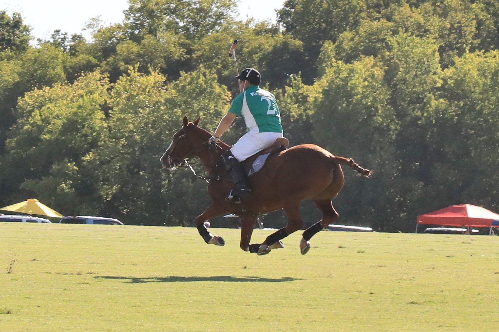 2018-Glennon-Gallop-051.JPG
